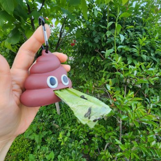 ǰ̹