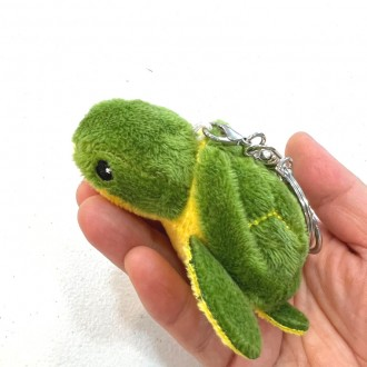 ǰ̹