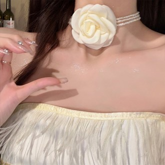 ǰ̹
