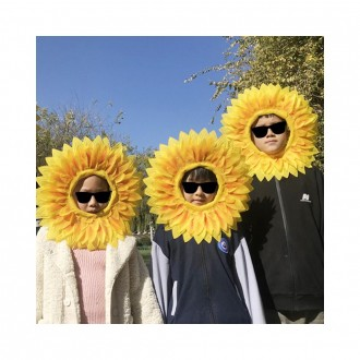 ǰ̹