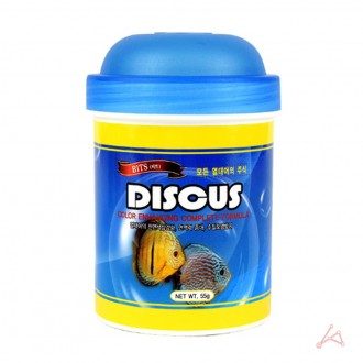 ǰ̹