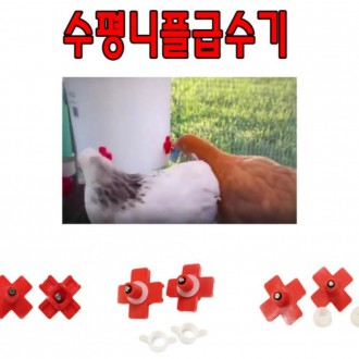 ǰ̹