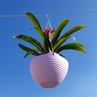 »óǰÀ̹ÌÁö »óǰÀ̹ÌÁö