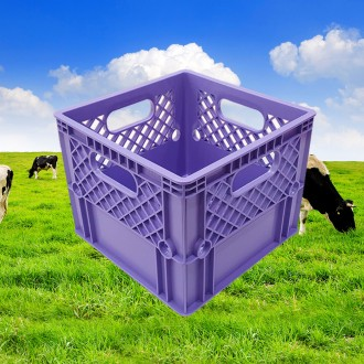 ǰ̹