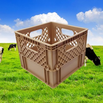 ǰ̹
