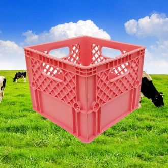 ǰ̹