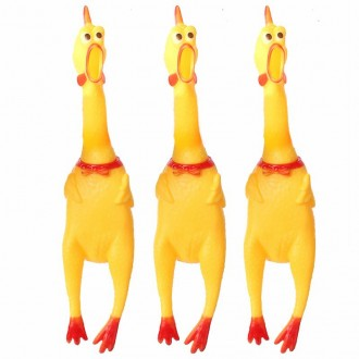 »óǰÀ̹ÌÁö »óǰÀ̹ÌÁö