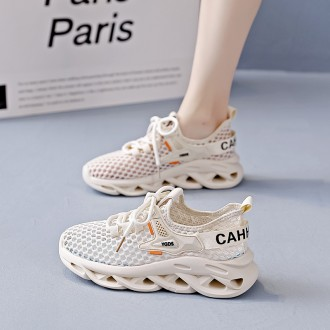 ǰ̹