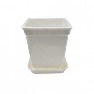 »óǰÀ̹ÌÁö »óǰÀ̹ÌÁö