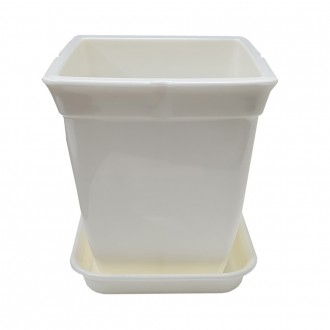 »óǰÀ̹ÌÁö »óǰÀ̹ÌÁö