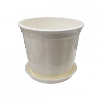 »óǰÀ̹ÌÁö »óǰÀ̹ÌÁö