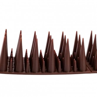 ��ǰ�̹���