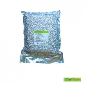 ��ǰ�̹���