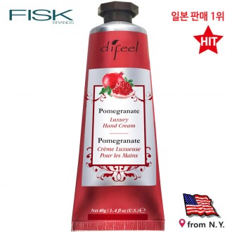 ǰ̹