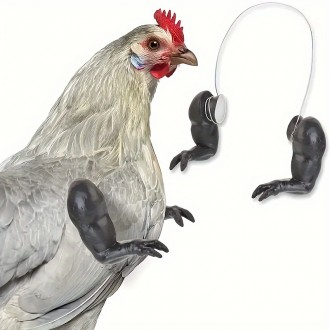 ǰ̹