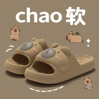 ǰ̹