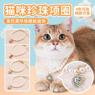 »óǰÀ̹ÌÁö »óǰÀ̹ÌÁö