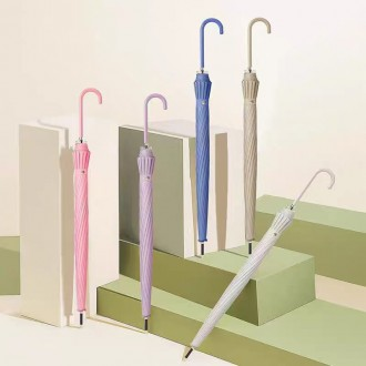 »óǰÀ̹ÌÁö »óǰÀ̹ÌÁö