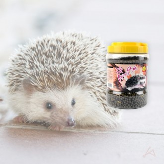ǰ̹