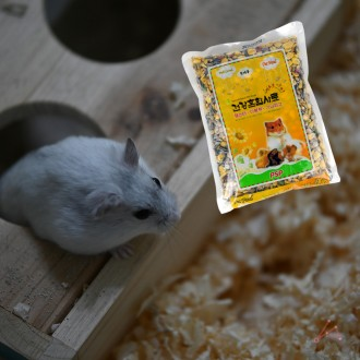 ǰ̹