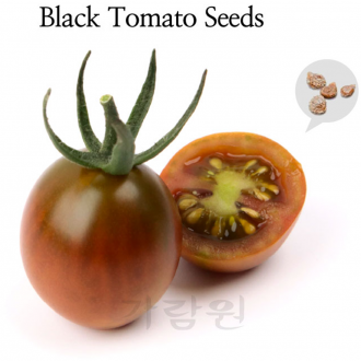 ǰ̹