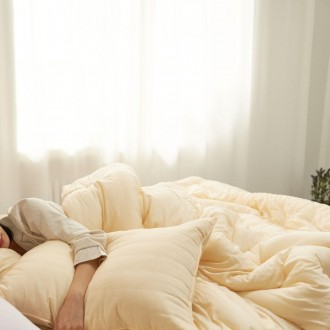 »óǰÀ̹ÌÁö »óǰÀ̹ÌÁö