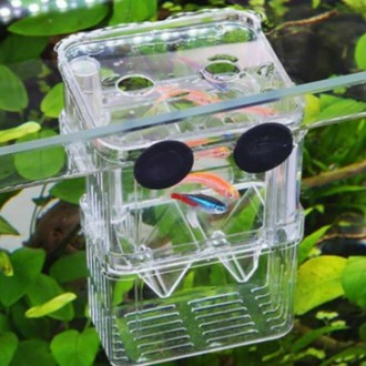 »óǰÀ̹ÌÁö »óǰÀ̹ÌÁö