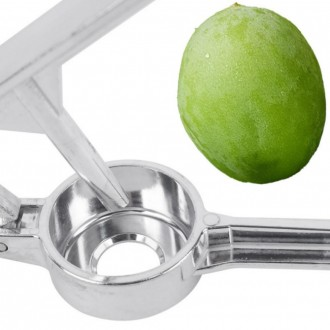 ǰ̹