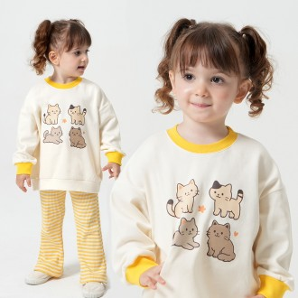 »óǰÀ̹ÌÁö »óǰÀ̹ÌÁö