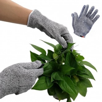 »óǰÀ̹ÌÁö »óǰÀ̹ÌÁö