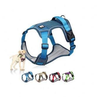 »óǰÀ̹ÌÁö »óǰÀ̹ÌÁö