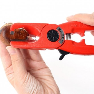 ��ǰ�̹���