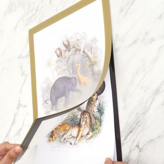 ��ǰ�̹���