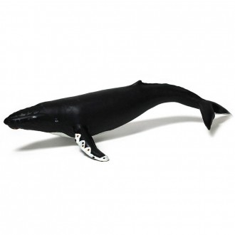 »óǰÀ̹ÌÁö »óǰÀ̹ÌÁö