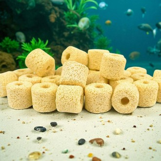 »óǰÀ̹ÌÁö »óǰÀ̹ÌÁö