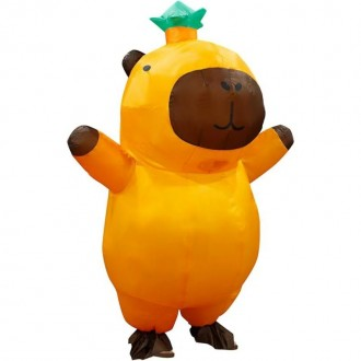 ǰ̹