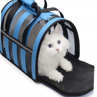 »óǰÀ̹ÌÁö »óǰÀ̹ÌÁö