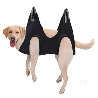 »óǰÀ̹ÌÁö »óǰÀ̹ÌÁö
