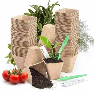 »óǰÀ̹ÌÁö »óǰÀ̹ÌÁö