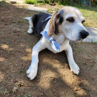 »óǰÀ̹ÌÁö »óǰÀ̹ÌÁö