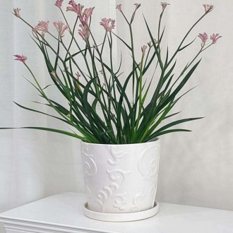 »óǰÀ̹ÌÁö »óǰÀ̹ÌÁö