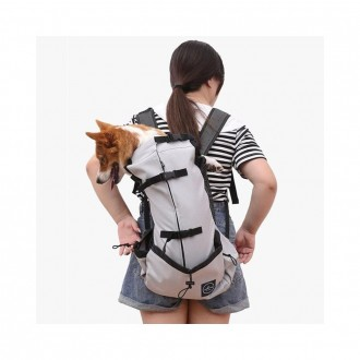 »óǰÀ̹ÌÁö »óǰÀ̹ÌÁö