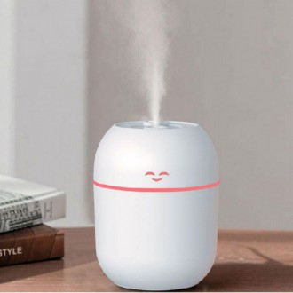 »óǰÀ̹ÌÁö »óǰÀ̹ÌÁö