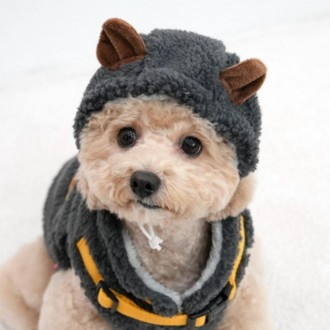 »óǰÀ̹ÌÁö »óǰÀ̹ÌÁö