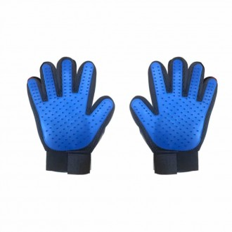 »óǰÀ̹ÌÁö »óǰÀ̹ÌÁö