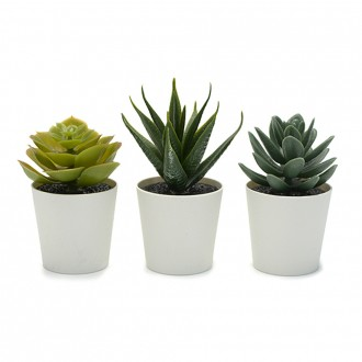 »óǰÀ̹ÌÁö »óǰÀ̹ÌÁö