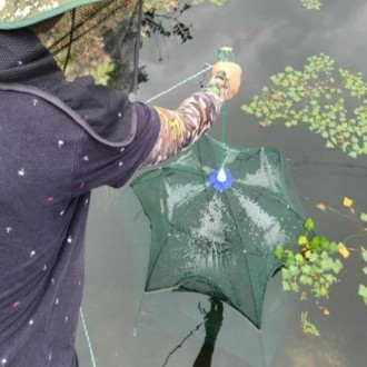 »óǰÀ̹ÌÁö »óǰÀ̹ÌÁö