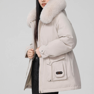 ��ǰ�̹���