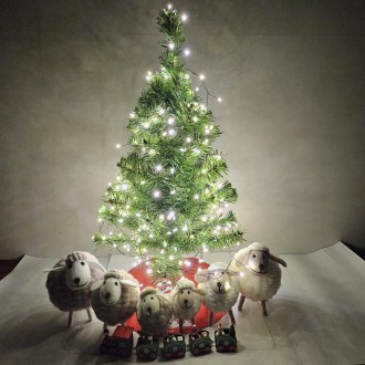 ��ǰ�̹���