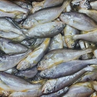 ��ǰ�̹���